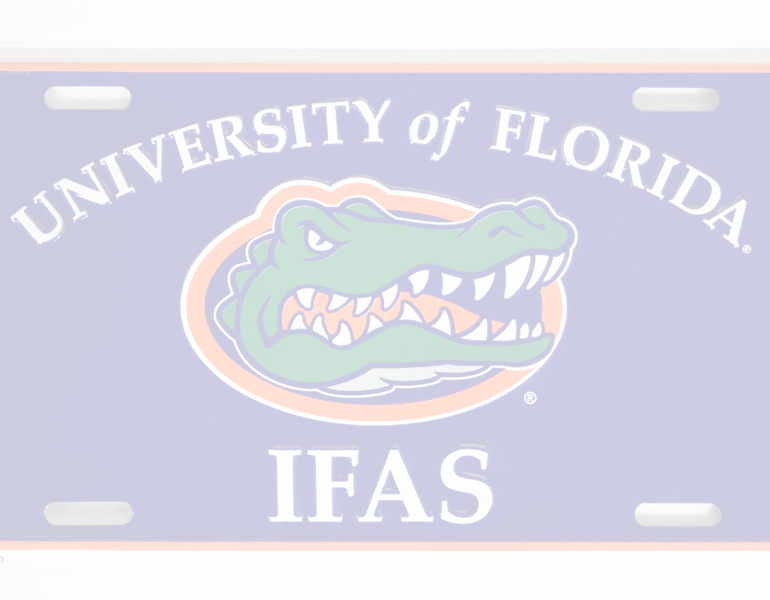 UF/IFAS gator logo